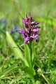07 06 15_4923_edited-1